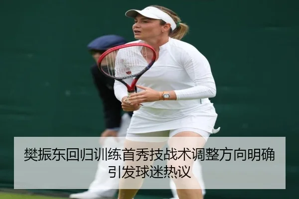 樊振东回归训练首秀技战术调整方向明确引发球迷热议（JINBOSPORTS）